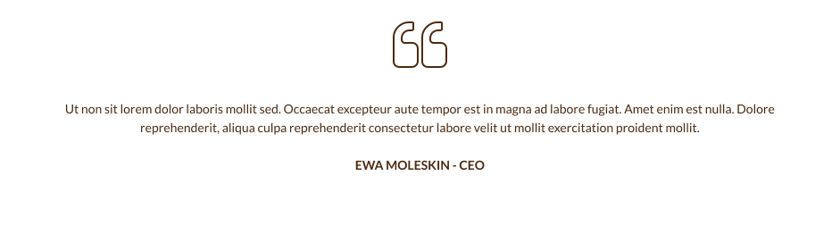   Ut non sit lorem dolor laboris mollit sed. Occaecat excepteur aute tempor est in magna ad labore fugiat. Amet enim est nulla. Dolore reprehenderit, aliqua culpa reprehenderit consectetur labore velit ut mollit exercitation proident mollit.  EWA MOLESKIN - CEO